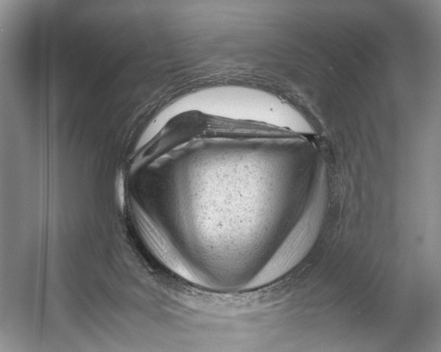 X0000053150027200508081422