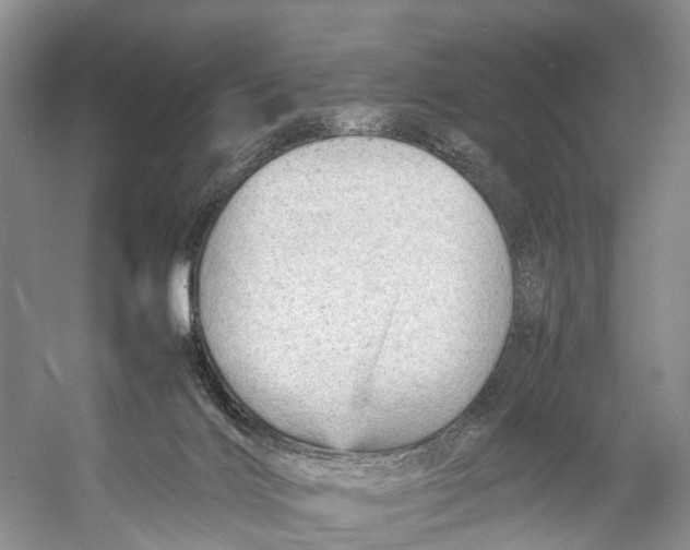 X0000053150028200508081422