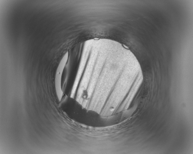 X0000053150029200508081422