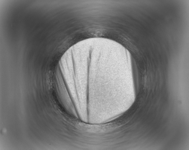 X0000053150030200508081422