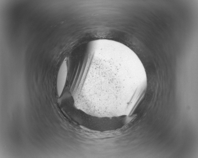 X0000053150031200508081422