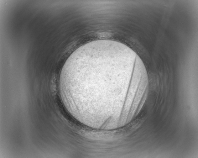 X0000053150032200508081422