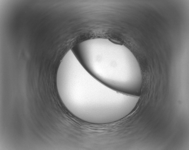 X0000053150033200508081422