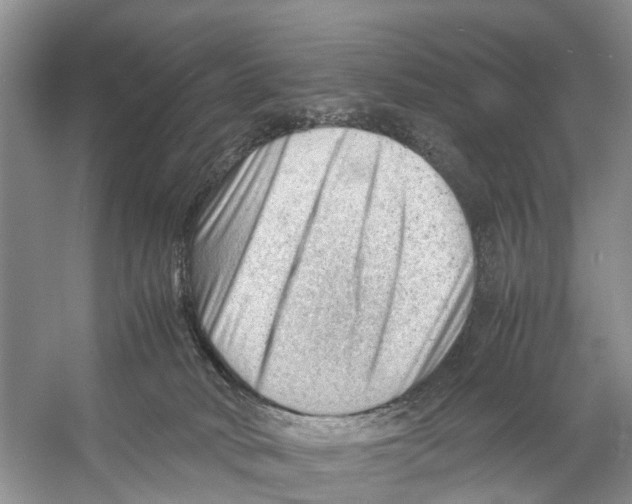 X0000053150034200508081422