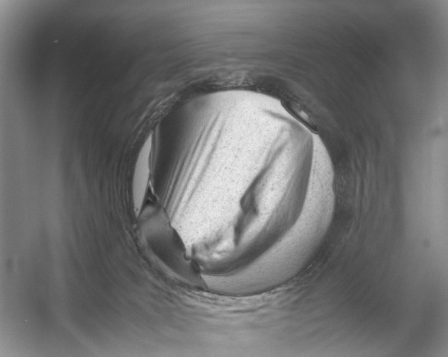 X0000053150035200508081422