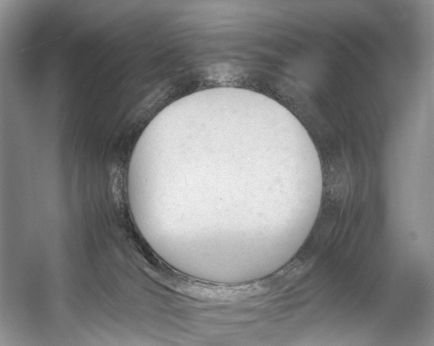 X0000053150036200508081422