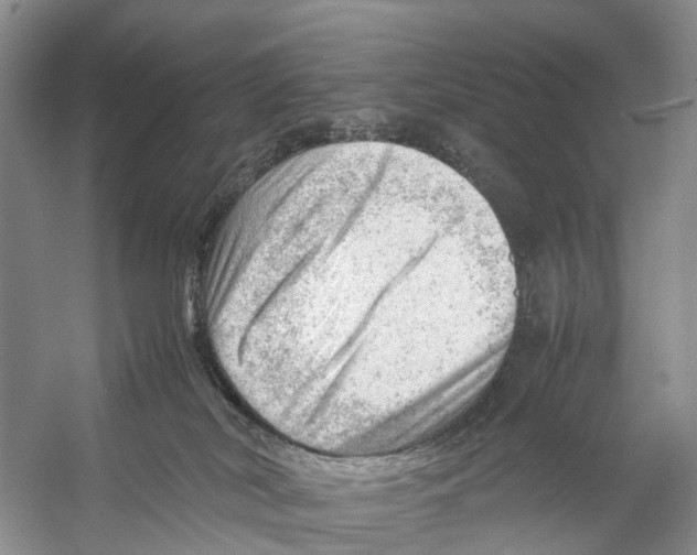 X0000053150038200508081422