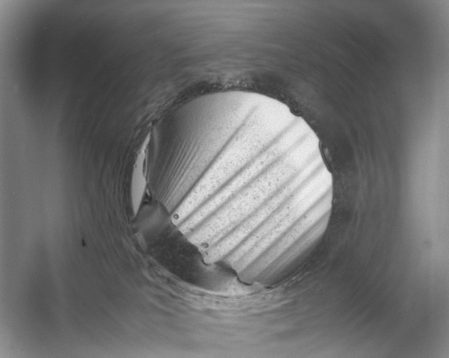 X0000053150039200508081422