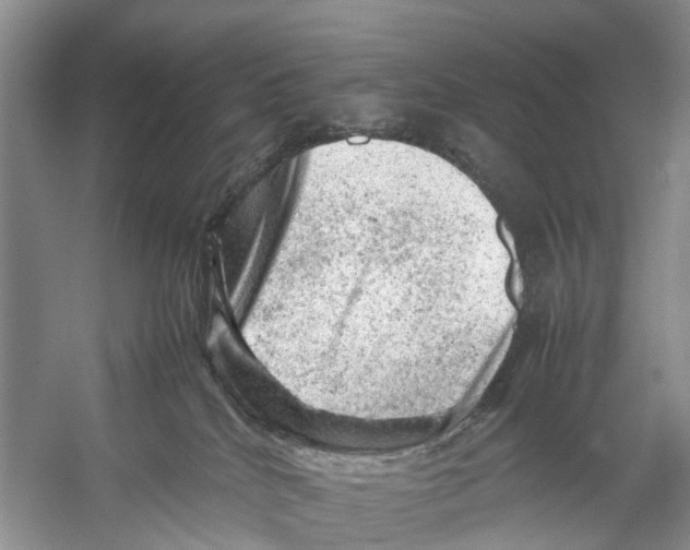 X0000053150040200508081422