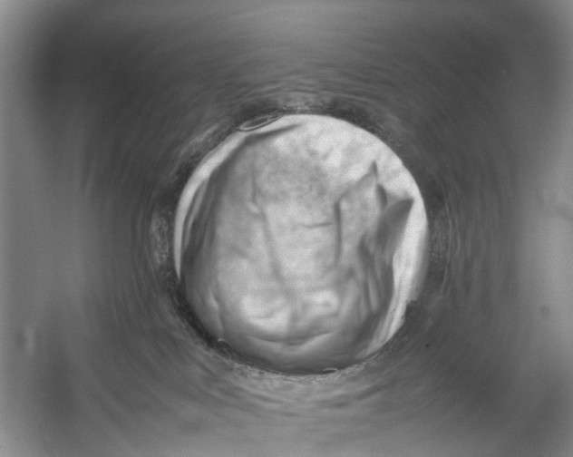 X0000053150043200508081422