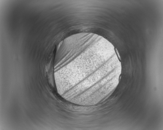 X0000053150044200508081422