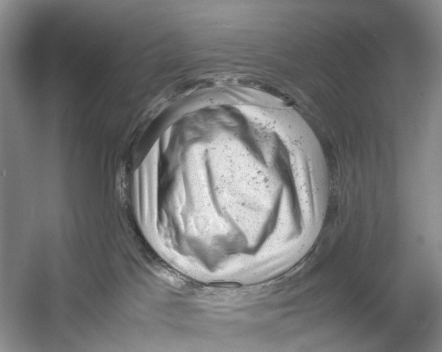 X0000053150045200508081422