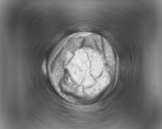 X0000053150046200508081422