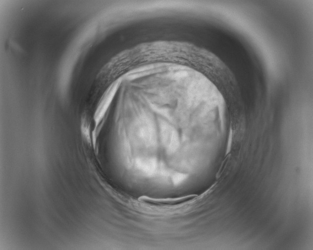 X0000053150047200508081422