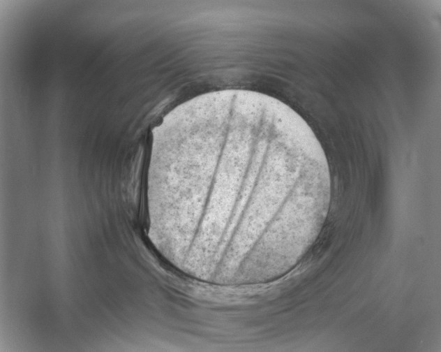 X0000053150048200508081422