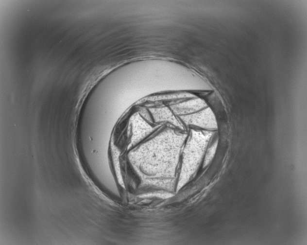 X0000053150049200508081421