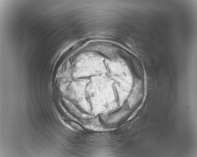 X0000053150050200508081421