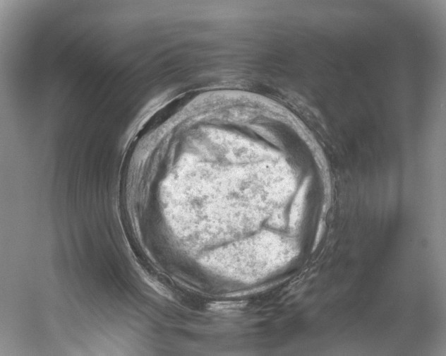 X0000053150051200508081421