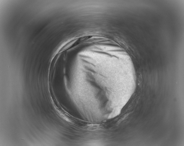 X0000053150052200508081421