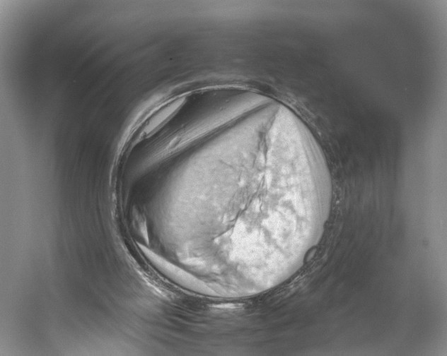 X0000053150053200508081421