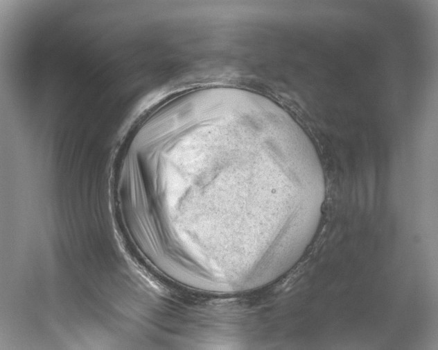 X0000053150054200508081421