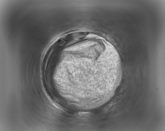 X0000053150055200508081421