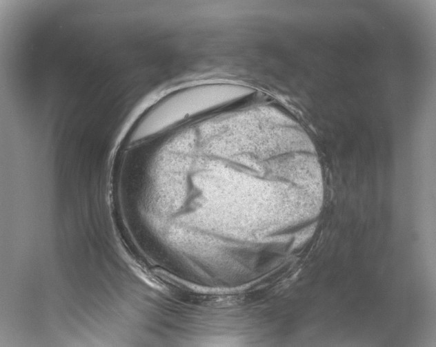 X0000053150056200508081421