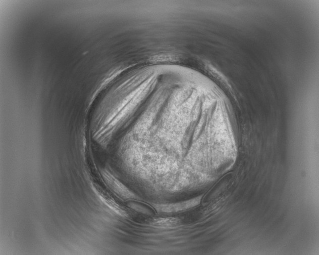 X0000053150059200508081421