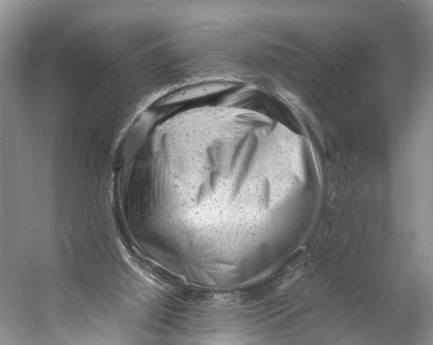 X0000053150060200508081421