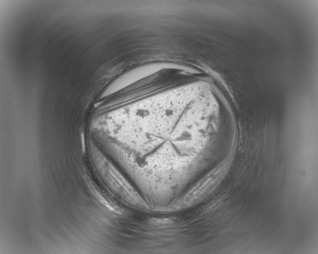 X0000053150061200508081421