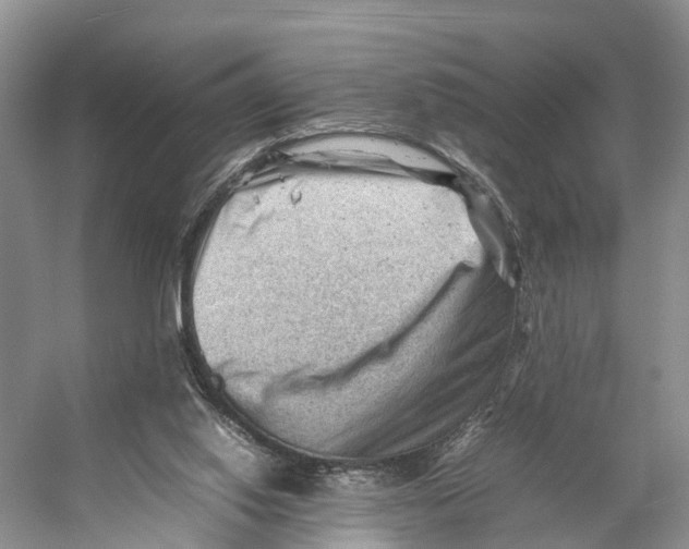 X0000053150062200508081421