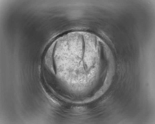 X0000053150063200508081421