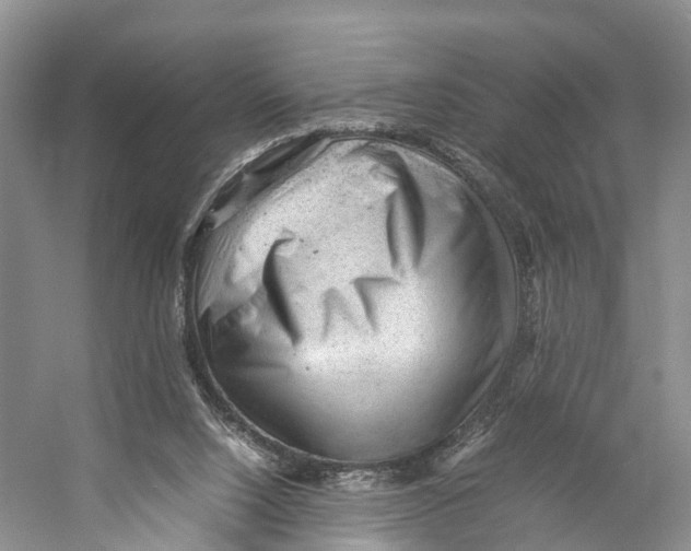 X0000053150064200508081421