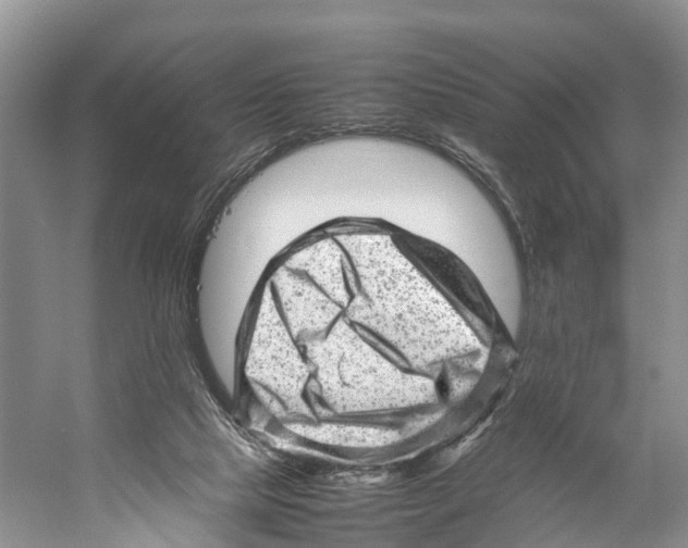 X0000053150065200508081421