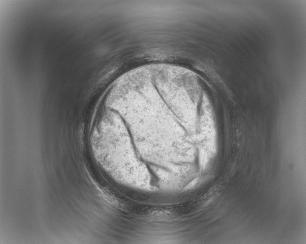 X0000053150066200508081421