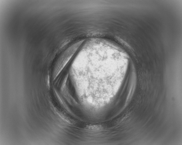 X0000053150067200508081421