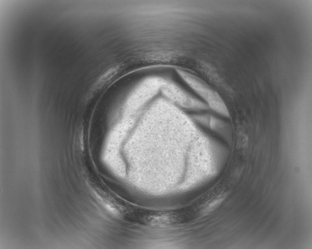 X0000053150068200508081421