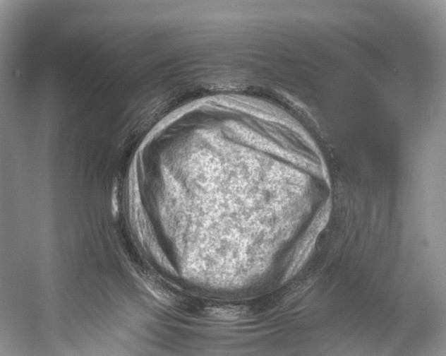 X0000053150069200508081421