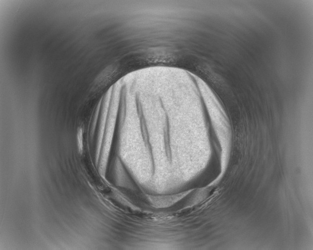 X0000053150070200508081421