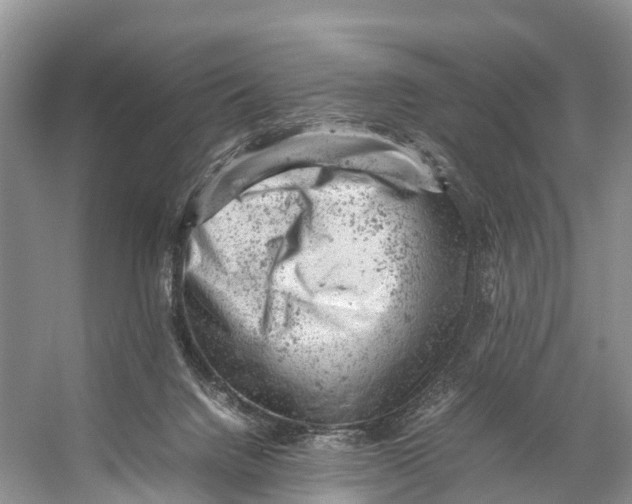 X0000053150072200508081421