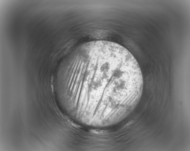 X0000053150073200508081421