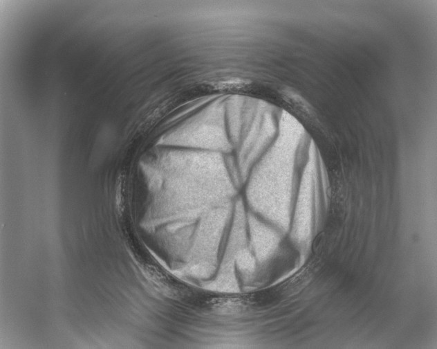 X0000053150074200508081421