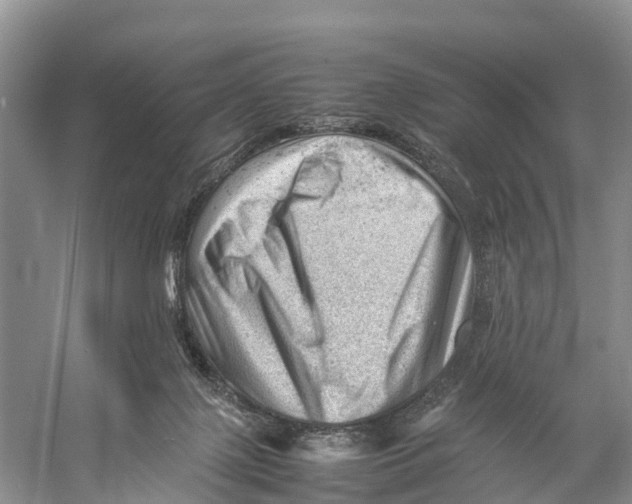 X0000053150075200508081421