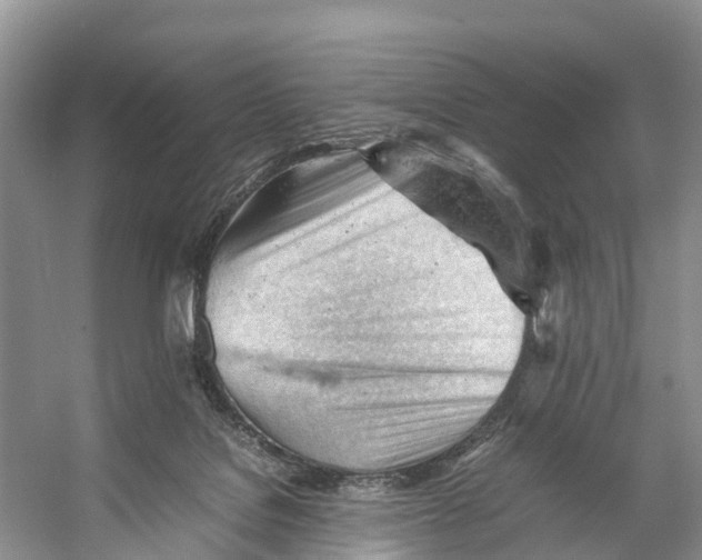 X0000053150076200508081421