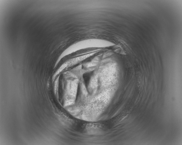 X0000053150077200508081421