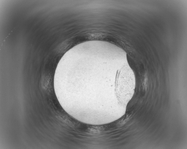 X0000053150079200508081421