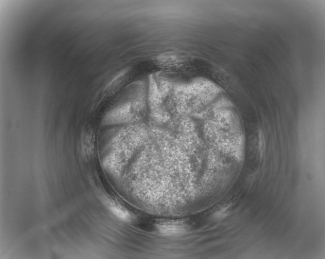 X0000053150081200508081422