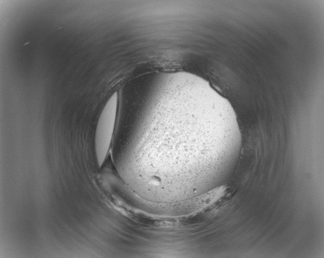 X0000053150084200508081422