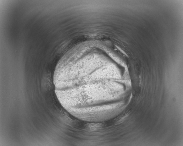 X0000053150085200508081422