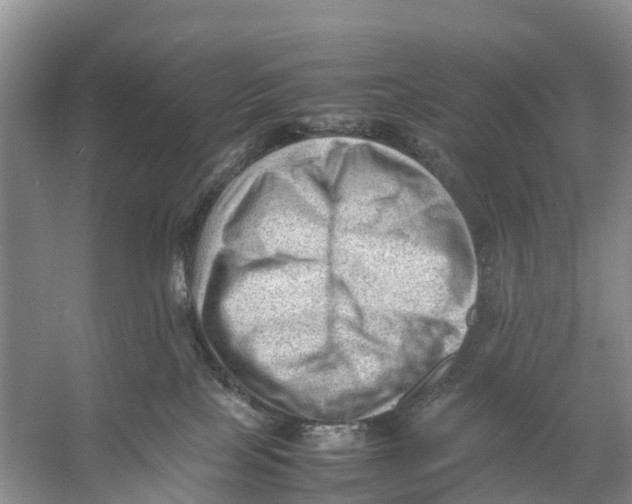 X0000053150089200508081422